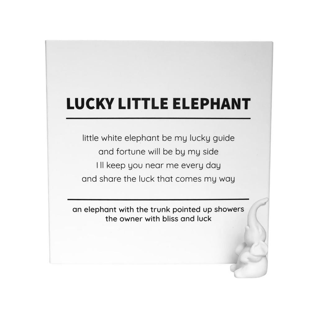 Lucky little elephant