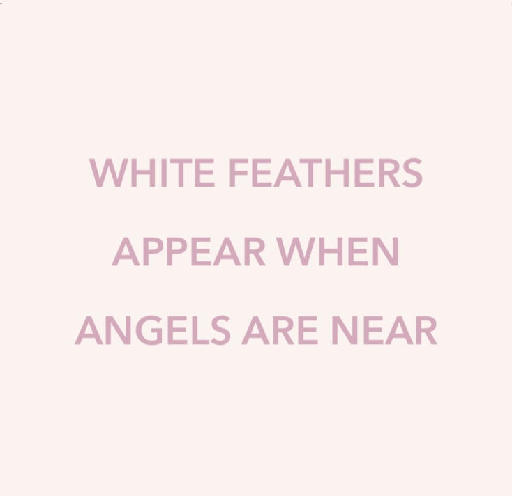 White feather