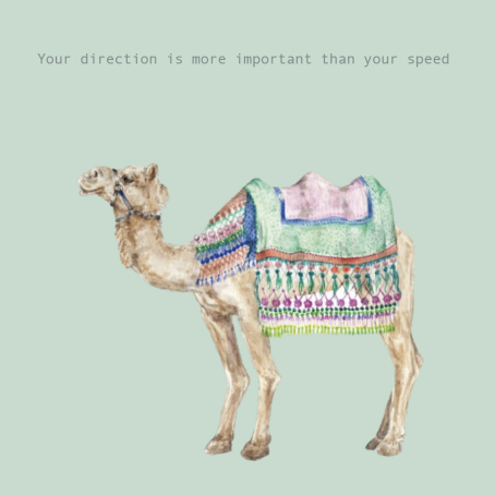 images/productimages/small/schermafbeelding-2024-01-25-om-18.14.15.png
