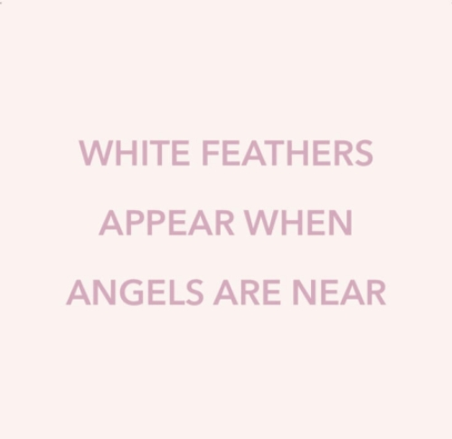 White feather
