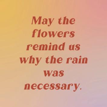Flowers and rain