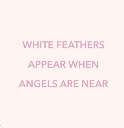 White feathers